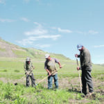 If farm workers aren’t both better protected and kept as a central part of Canadian agriculture, Canadi-ans could face a future of more expensive food that has to be imported rather than produced here. | File photo