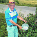 Ken Greenfield is ready to pick saskatoons on the eastern edge of Calgary’s Nose Hill Park. He enjoys sprinkling them on his morning porridge. | Mark Kihn photo