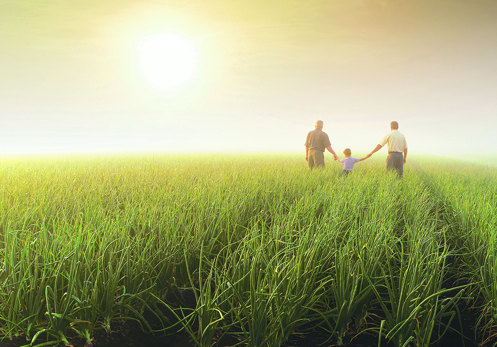 Many farm families consider transferring their farmland into joint names with their children before they die so that their estates avoid probate fees, but there are risks associated with this strategy.  |  Getty Images