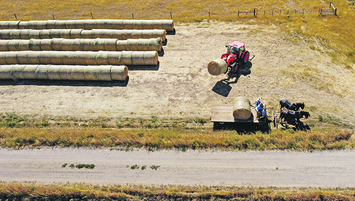 Logan Vanderploeg unloads Cam Ostercamp’s horse-down hay wagon. | Mike Sturk photo
