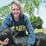 Alison Van Eenennaam, a co-operative extension specialist with the University of Californa, Davis’s animal science department, helped develop Cosmo using genome editing. | University of California, Davis photo