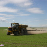 Sulfur has been used on agricultural lands as a fertilizer and a pesticide to improve production and crop health. | File photo