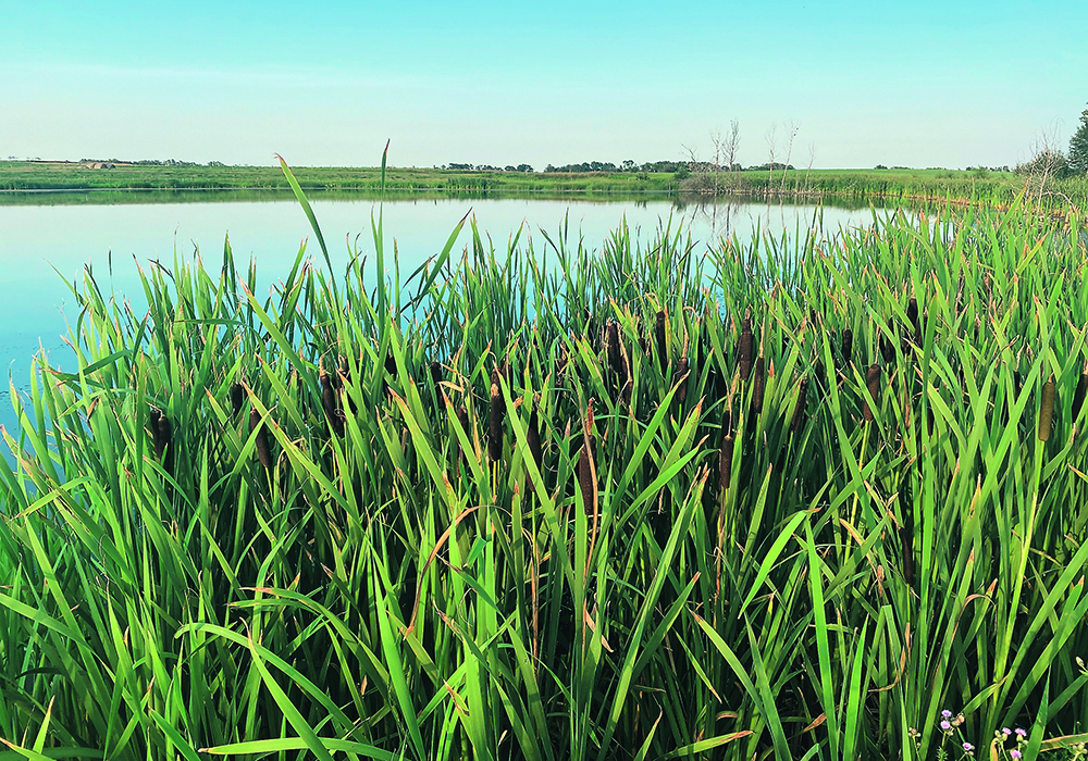 The World Wildlife Fund lists agricultural activity as the 10th most significant threat to the survival and restoration of at-risk species in Canada.  |  Brian Cross photo