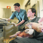 This will be the first time since the Western College of Veterinary Medicine opened that it will not be receiving first year students from Alberta. | File photo