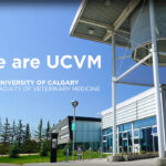Alberta Agriculture and the Canadian Agricultural Partnership are providing $3.4 million to the UCVM over four years to expand its diagnostic service unit for enhanced animal disease diagnosis and welfare. | Screencap via vet.ucalgary.ca