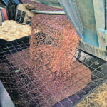 Lentil ending stocks are expected to climb to 311,000 tonnes, well below the 716,000 tonnes seen in 2018-19 and the 873,000 tonnes the year before that. | File photo