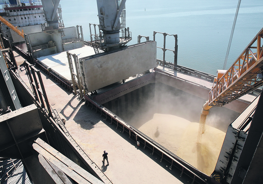 Amid strong demand for Canadian grain and attractive cash prices for some bulk commodities, especially canola and durum wheat, more farmers are selling grain directly off the combine, setting an unusually fast pace for late-summer grain exports. | Reuters photo
