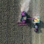 Harvest in the United States will be a key market driver to follow this fall — will yields confirm that the August drought took a toll or did crops survive the stress better than expected? | Reuters/Adrees Latif photo