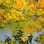 Leaves should not be raked and collected in the fall because they provide trees with nutrition as well as insulation for roots. | Barb Glen photo