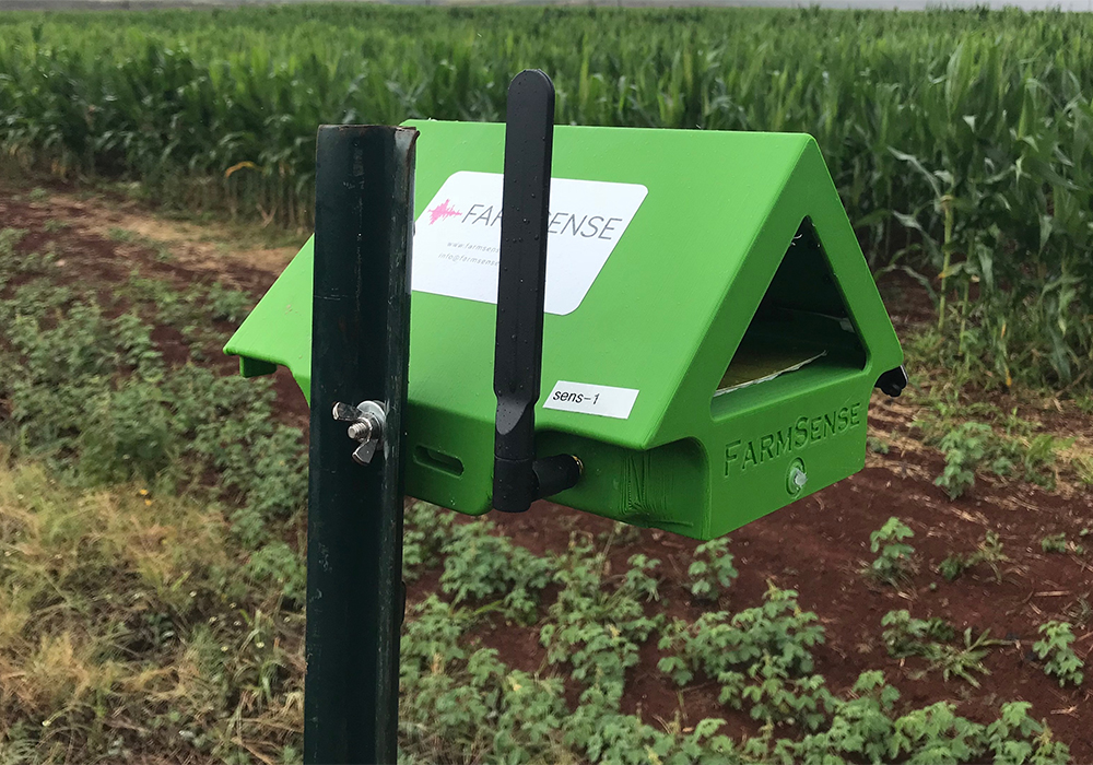 FarmSense developed a sensor that uses a curtain of light at the opening of the trap and when a bug flies through the light and causes a very specific disruption pattern. | University of California, Riverside photo