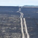 Area residents are likely to be particularly sensitive to fires on the base because a fire spread from CFB Suffield in September 2017 and burned about 90,000 acres of grassland, killed 160 cattle and forced some residents in its path to flee their homes. | File photo