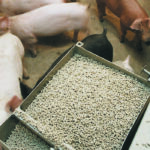 Dan Bussieres, swine nutritionist and co-founder of Group Ceres and its Athena division, said the deal creates synergies from east to west. | File photo