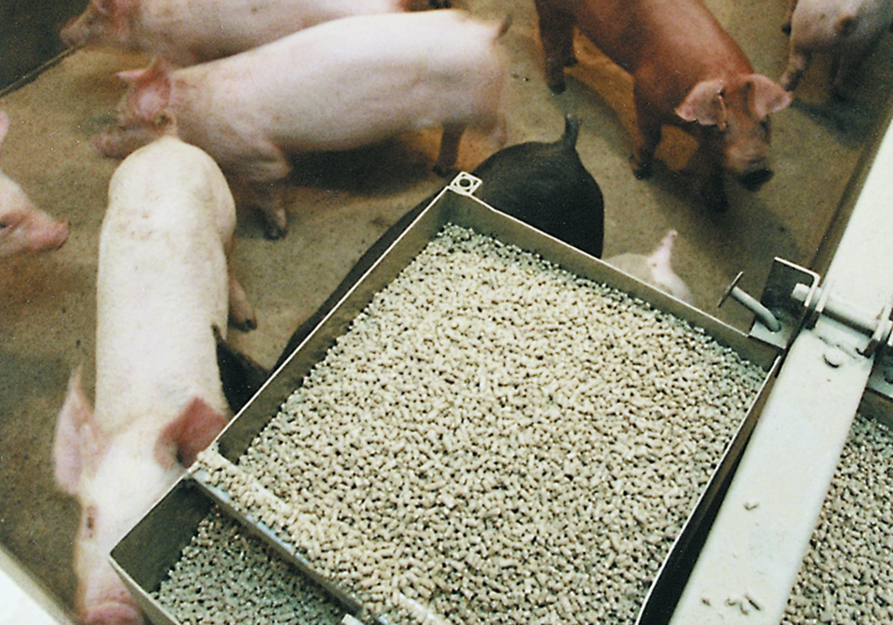 Dan Bussieres, swine nutritionist and co-founder of Group Ceres and its Athena division, said the deal creates synergies from east to west. | File photo