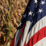 Tweaks and improvements won’t save farmers from being crushed by subsidies being offered to American farmers and an increasingly protectionist world trading system. | File photo