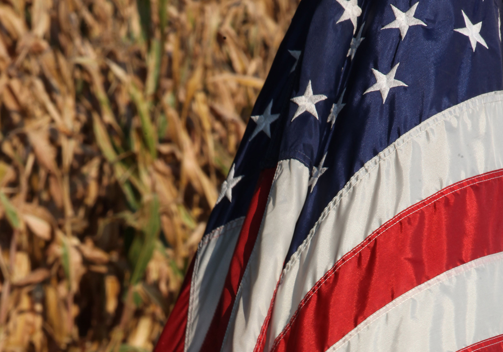 Tweaks and improvements won’t save farmers from being crushed by subsidies being offered to American farmers and an increasingly protectionist world trading system. | File photo