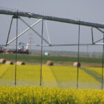 Eight of Alberta's 13 irrigation districts have formed a consortium to provide 20 percent of the funding, or about $163 million. Approximately $245 million will come from the Alberta government and the remaining 50 percent, or $407 million, comes in the form of a loan financed by the Canada Infrastructure Bank. | File photo