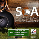 SCA chair Arnold Balicki said he was disappointed but it was the safe thing to do. | Screencap via saskbeef.com