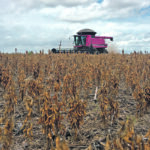 Dryness in South America is threatening Brazil’s soybean crop, which would support oilseed prices, including canola. This soybean crop was being harvested in Porto Nacional, Tocantins state, Brazil in a previous season. | Reuters/Roberto Samora photo