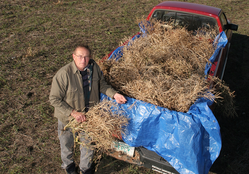 Percy Schmeiser of Bruno, Sask., gained fame in the 1990s as the man who fought a prolonged legal battle against Monsanto over the use of one of its flagship products, Roundup Ready canola. | File photo