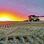 Harvest was underway south of Halkirk, Alta., late last month but has now been completed over much of the Prairies. | Corwin Solick photo