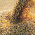 The United States had sold almost 34 million tonnes of new crop soybeans by the end of September compared to the five-year average of about 21 million tonnes. | Reuters/Jorge Adorno photo