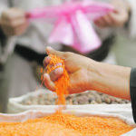 The big question for the red lentil market remains what will happen in India, the world’s largest importer of the crop. The country recently dropped its import duty to 10 percent from 30 percent, but it’s uncertain how long that will last. | Reuters/Khaled Abdullah photo