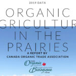From 2017 to 2019, certified organic acres have been around 1.7-1.8 million.
| Screencap via canada-organic.ca