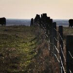 JBS funds communities it operates in. Brooks, Alta., to get $2 million towards development. | Mike Raine photo