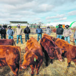Ranchers and college officials were on hand recently to mark the donation of Red Angus heifers to Olds College: Garth Cutler, Circle G Angus; Cole Dodgson, KC Stock Farms; Phil Bernie, WRAZ Red Angus; Darnell Fornwald, First Class Cattle Marketing; Mark Matejka, Matejka Farms; Bryan Mackenzie, Brylor Ranch; Sean Thompson, manager of Olds College’s Technology Access Centre for Livestock Production; Blake Morton, Shiloh Cattle Co.; Darcy Olesky, Shiloh Cattle Co.; and Jeff Fraser, Fraser Farms. | Olds College photo