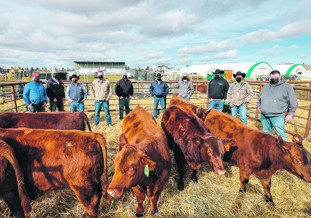 Ranchers and college officials were on hand recently to mark the donation of Red Angus heifers to Olds College: Garth Cutler, Circle G Angus; Cole Dodgson, KC Stock Farms; Phil Bernie, WRAZ Red Angus; Darnell Fornwald, First Class Cattle Marketing; Mark Matejka, Matejka Farms; Bryan Mackenzie, Brylor Ranch; Sean Thompson, manager of Olds College’s Technology Access Centre for Livestock Production; Blake Morton, Shiloh Cattle Co.; Darcy Olesky, Shiloh Cattle Co.; and Jeff Fraser, Fraser Farms.  | Olds College photo