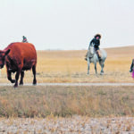 The entire family was either on horseback or quad to bring the Englot cows home, including Cody Englot, left, Emmett Balogh, Morgan Balogh, Jaime Balon, Halle Balon, Ashton Haus and Nolan Balon. | Christalee Froese photo