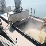 Grain companies exported 12.2 million tonnes of bulk grain, oilseeds and pulses through week 12 of the 2020-21 crop year, a 29 percent increase over the same time last year. | Reuters photo