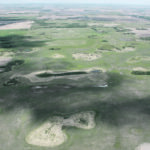 Research has found that the presence of pollinators and beneficial insects contribute to yields, which in turn contribute to profit, while treed areas and grassy spots store carbon. Wetlands provide habitat and store water to recharge aquifers and improve water quality. | File photo