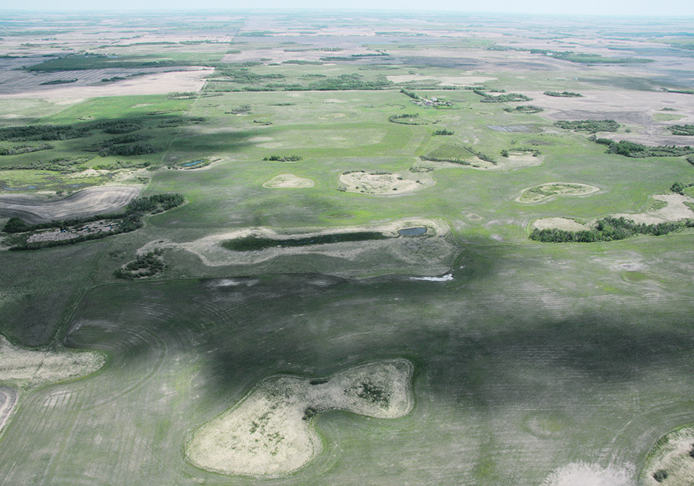 Research has found that the presence of pollinators and beneficial insects contribute to yields, which in turn contribute to profit, while treed areas and grassy spots store carbon. Wetlands provide habitat and store water to recharge aquifers and improve water quality.  |  File photo