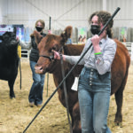 Kylie Willms of Dundurn, Sask., shows her Red Angus heifer during the Junior Red Angus Show. | William DeKay photo