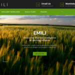 EMILI (Enterprise Machine Intel-ligence and Learning Initiative) was created four years ago to pre-pare Manitoba’s agricultural economy to leverage digital dis-ruption for success. | Screencap via emilicanada.com