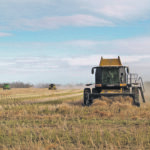 Multiple combines had the field covered when the Central Alberta Foodgrains Growing Project harvested its crop Nov. 3. | Leanne Zukowski photo