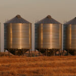 Global Grain Canada has returned most of its grain inventory, substantially reducing its obligation to farmers. | File photo