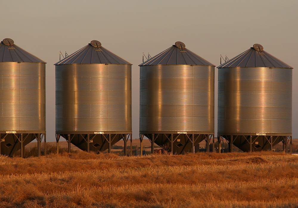 Global Grain Canada has returned most of its grain inventory, substantially reducing its obligation to farmers.  |  File photo