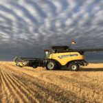 Harvest 2020 – photo essay