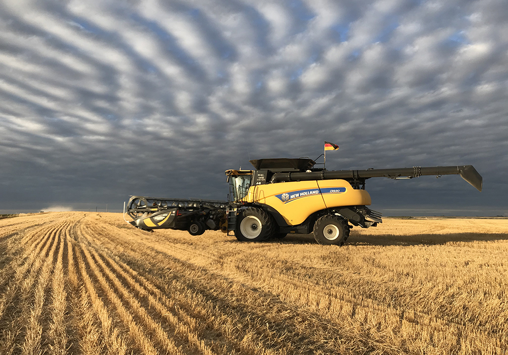 Harvest 2020 – photo essay