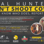 The Saskatchewan Wildlife Federation and Saskatchewan Stock Growers Association are offering up to $10,000 for information leading to a conviction. | Screencap via Twitter/@SK_StockGrowers