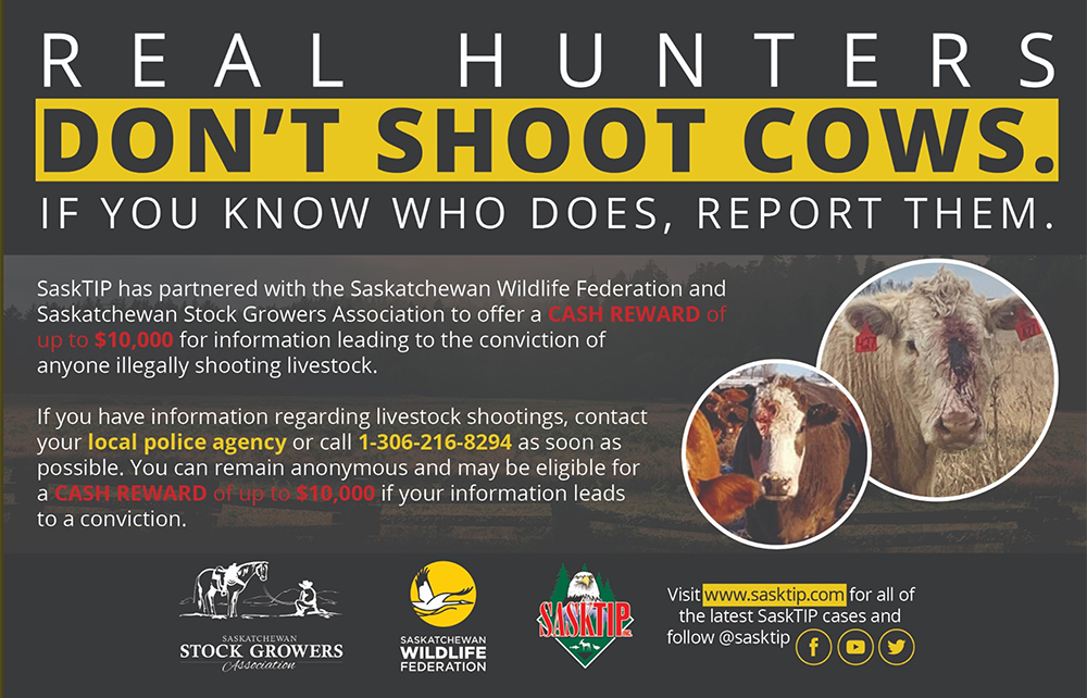 The Saskatchewan Wildlife Federation and Saskatchewan Stock Growers Association are offering up to $10,000 for information leading to a conviction. | Screencap via Twitter/@SK_StockGrowers