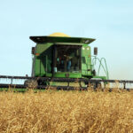 Chuck Penner, an analyst with LeftField Commodity Research, recently told Real Agriculture that he doesn’t put much faith in Statistics Canada’s estimate of 103,000 tonnes of production. | File photo