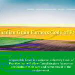 The Responsible Grain Code is an initiative of the Canadian Roundtable for Sustainable Crop headed by Ted Menzies, a former secretary of state for finance in Stephen Harper's Conservative government. | Screencap via responsiblegrain.ca