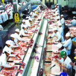 During a Nov. 24 meeting, Agricultural Producers Association of Saskatchewan president Todd Lewis said the processing sector will need to grow to meet ambitious export targets put in place by federal and provincial governments. | File photo