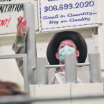 Ringman Corey Mantell takes bids during the Canadian Western Agribition commercial sale held at Johnstone Auction Mart in Moose Jaw Nov. 28. Although Agribition was postponed due to the pandemic a small sale of 172 head went ahead with masks and a crowd of less than 30. | Karen Briere photo