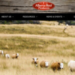 Financial data indicates that Alberta Beef Producers issued 1,066 refunds on the refundable portion of the beef checkoff, totalling $3.2 million. ABP controller Laura Procunier said that amount is consistent with previous years and the bulk of refunds are requested by larger feedlots. | Screencap via albertabeef.org