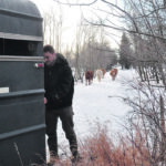 : Alcide Grenier helped transport the many loads of cows throughout the day. | Jeannette Greaves photo