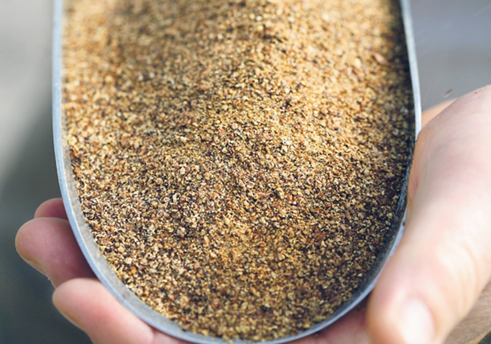 Canola protein has a lot going for it, including a combination of amino acids that makes it ideal for animal feed, where it is mainly used. Unfortunately, humans are more fussy when it comes to flavour, odour, appearance, and mouth feel. Canola meal is just too bitter. | File photo